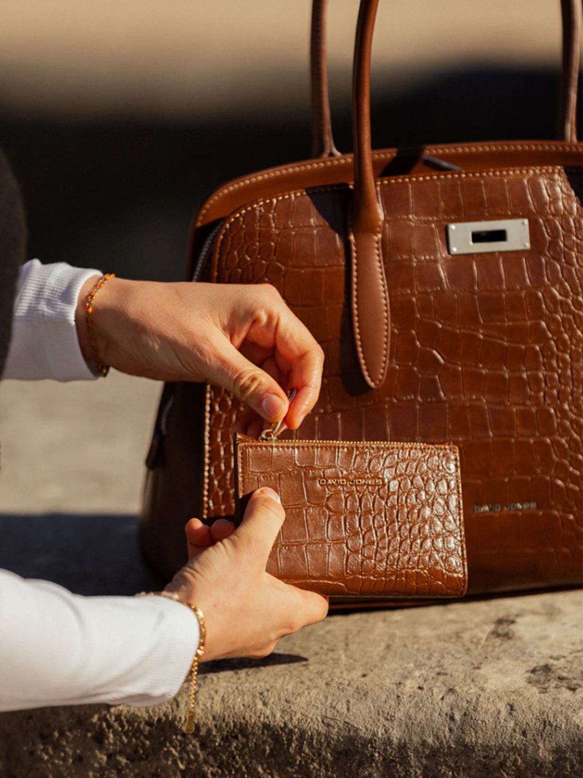 Carteras y accesorios